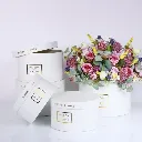 Tragbarer runder Blumenkasten weiss2.webp